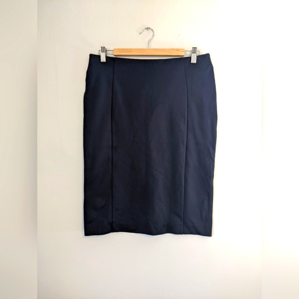 Ann Taylor skirt